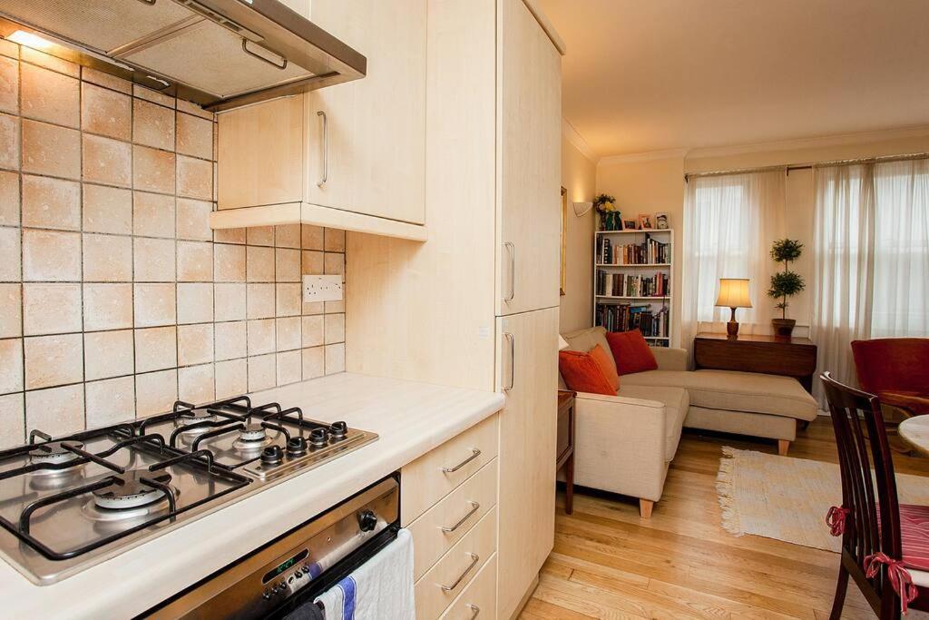 Bright 2 Bedroom Flat In Central Londen Buitenkant foto